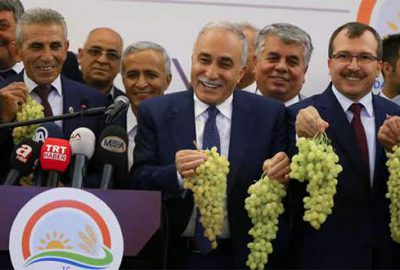 Ayrandan sonra milli içeceğimiz üzüm suyu