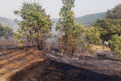 Bursa’da 3 hektarlık ormanlık alan yandı
