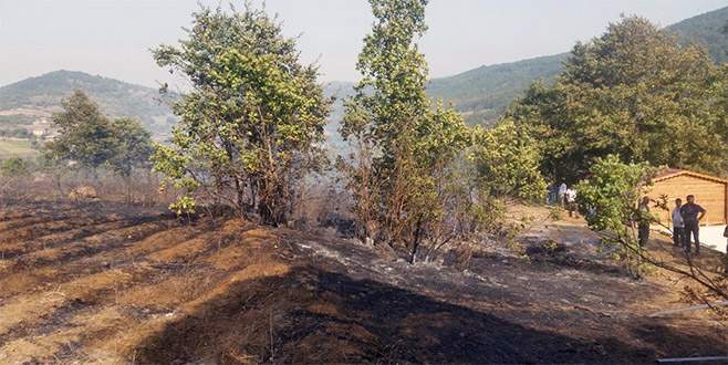 Bursa’da 3 hektarlık ormanlık alan yandı