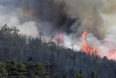 Kütahya’daki orman yangını tekrar başladı