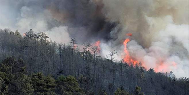 Kütahya’daki orman yangını tekrar başladı