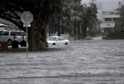 Kasırgayı fırsat bilip yağmaladılar!