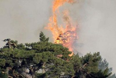 Kütahya’daki yangın kontrol altında
