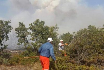 Kütahya’da orman yangını