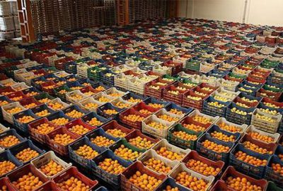 Gıda fiyatlarına ambalaj ve hal önlemi