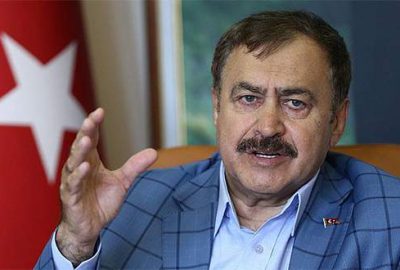 ‘Muğla’daki orman yangını ihmal sonucu çıktı’