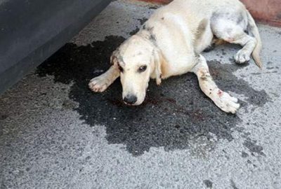 Bunun adı vicdansızlık!