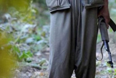 Lice’deki operasyonda 3 terörist öldürüldü