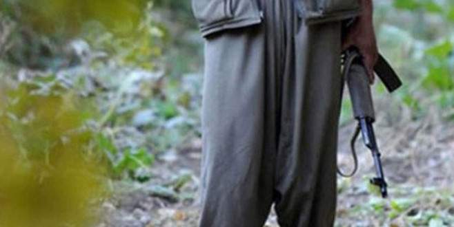 Lice’deki operasyonda 3 terörist öldürüldü