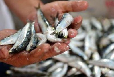 Kasası 150 liradan 25 liraya düştü