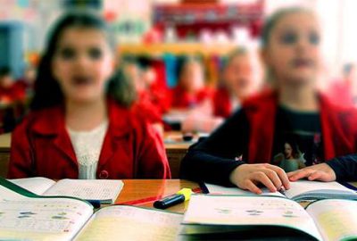 Sayılarında rekor artış oldu