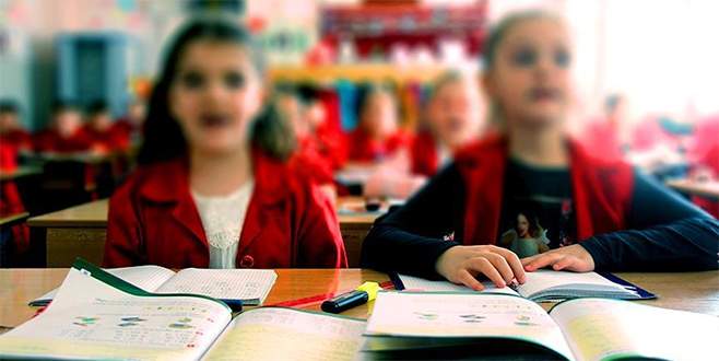 Sayılarında rekor artış oldu