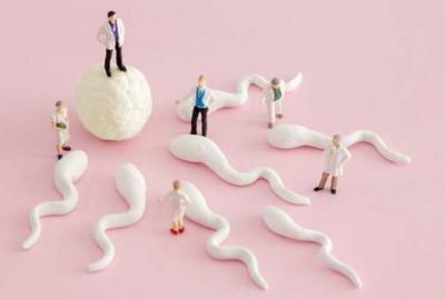 Yapılan araştırmalara göre erkeklerin sperm sayıları her yıl yüzde 1,4