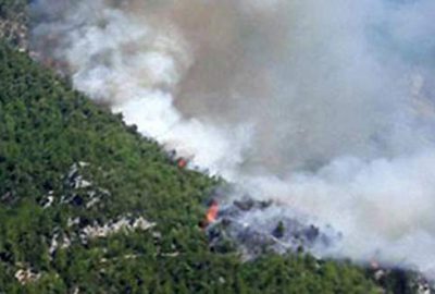 Orman yangını köye sıçradı: 30’a yakın ev yandı!