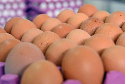 Ağustosun zam şampiyonu yumurta