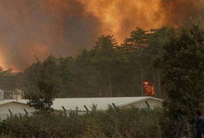 Bolu’da orman yangını