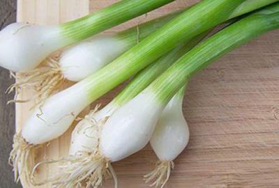 Yeşil soğanın tadı kaçtı