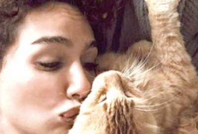 6 kedi 1 köpek besliyor