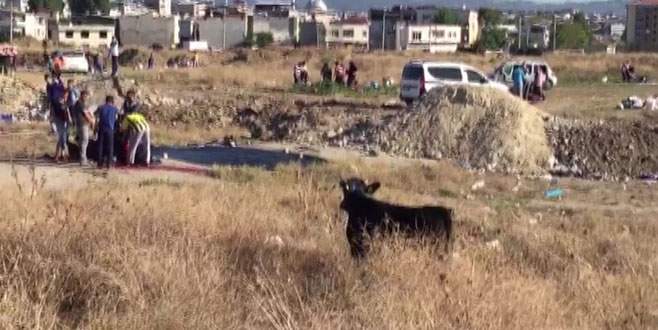 Sahibinin elinden kurtuldu, bir saat kovalamaca yaşattı