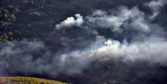 Orman yangını ucuz atlatıldı