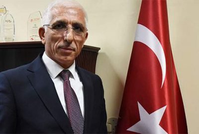 Katar’ın zeytini Gemlik’ten