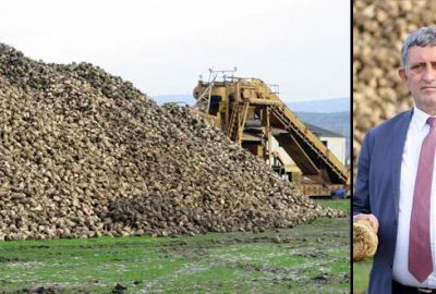 Pancar çiftçinin yüzünü güldürdü