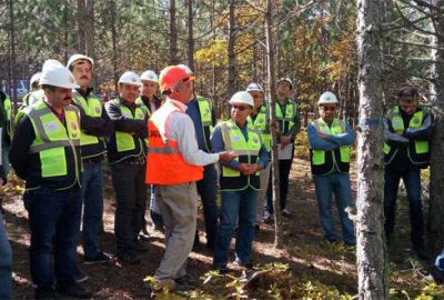 Keles ormanlarında silvikültür tatbikatı