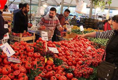 Domatese Rusya zammı