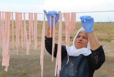 Türkiye’de yapılıyor, Avrupa’ya satılıyor