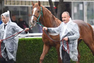 ‘Onurluefe’ye 300 bin lira