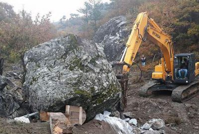 Define ararken can verdiler