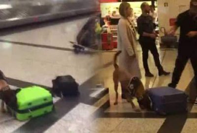 Almanya’dan gelen yolculara misilleme