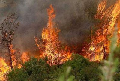 PKK, Ege ormanlarını yakma talimatı vermiş!