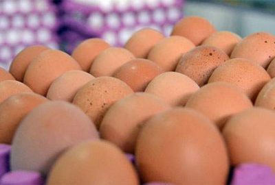 Yumurta silah sayıldı