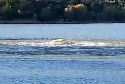 Gölde esrarengiz olay! Uğultu sonrası kabarmaya başladı…