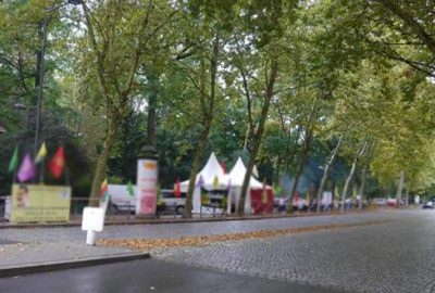 Avrupa Konseyi’nden PKK’ya destek