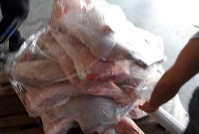 Durdurulan minibüste 420 kilo domuz eti ele geçirildi