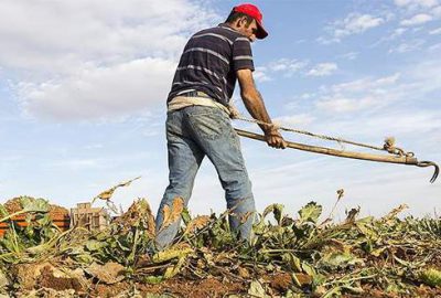 Üreticiye büyük destek