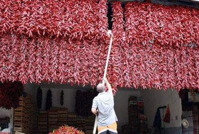 Balkan köyünde asırlık gelenek devam ediyor