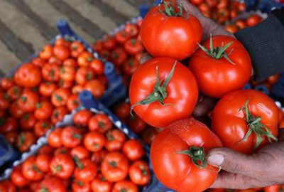Rusya’dan domates açıklaması
