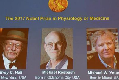 Nobel Tıp Ödülü sahibini buldu