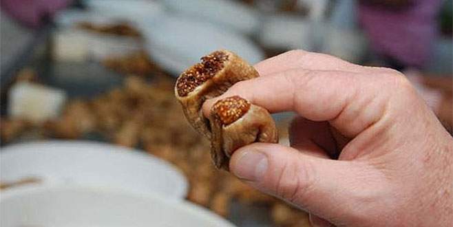 Çukulat incir cep yakıyor