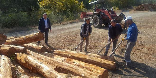 Orman köylerinin geliri ormandan