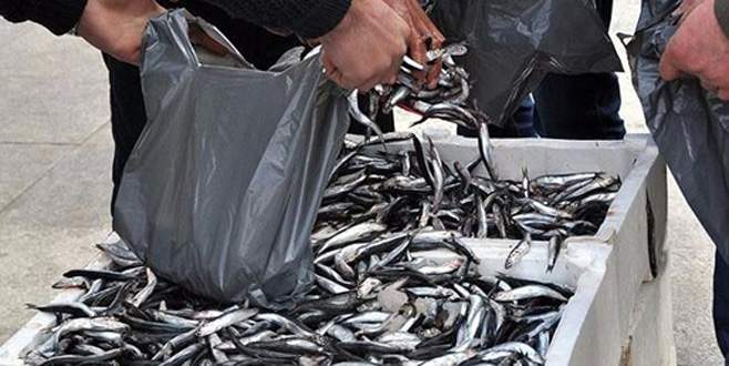 Hamsinin kilosu 5 liraya düştü!