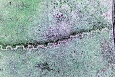 Tesadüfen bulundu! Yerini kimseye söylemiyorlar