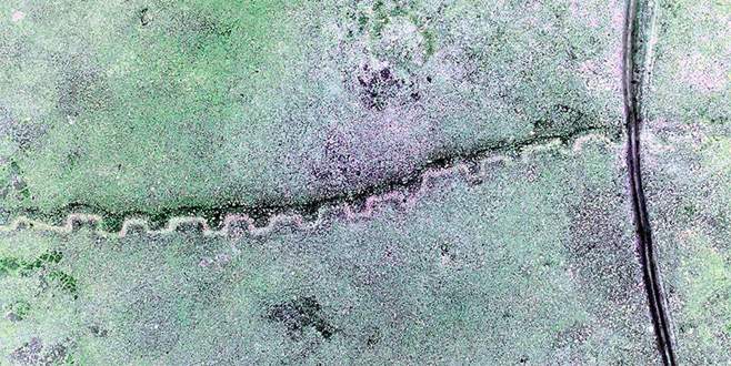 Tesadüfen bulundu! Yerini kimseye söylemiyorlar