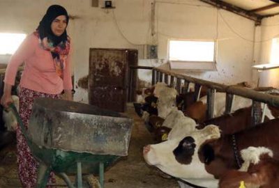 Bileziklerini sermaye yaptı, örnek üretici oldu