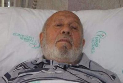 78 yaşında ağaçta barfiks çekince…