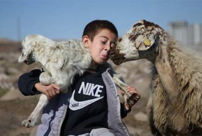 Besicilerin ‘kuzu’ heyecanı