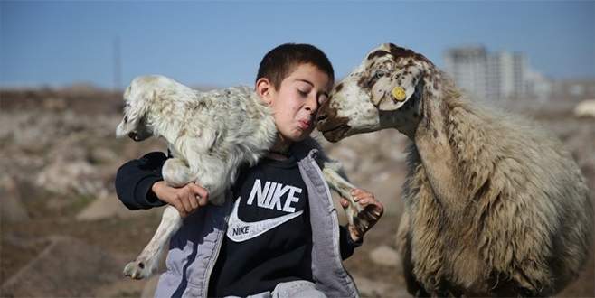 Besicilerin ‘kuzu’ heyecanı